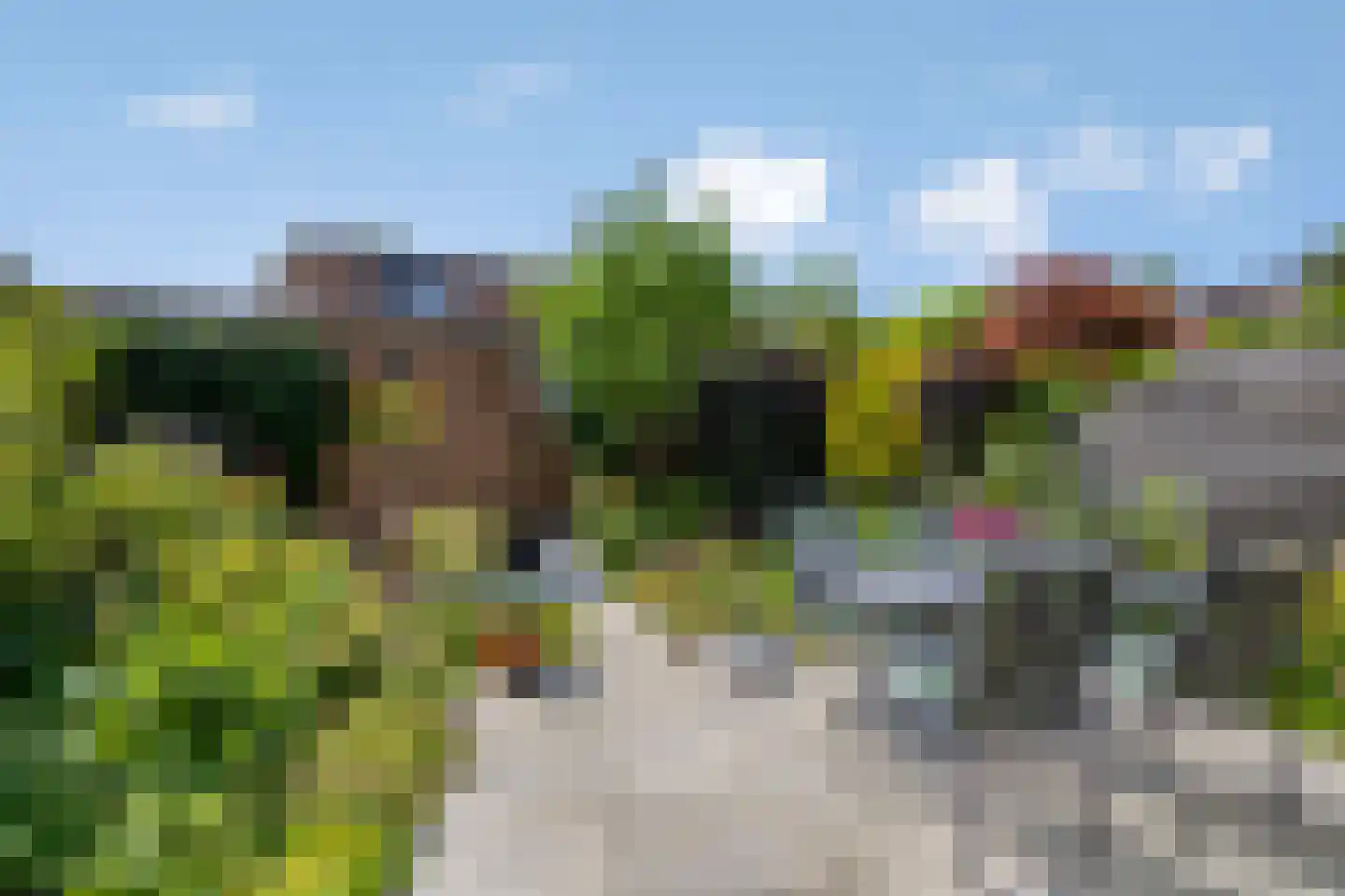 Perobahout 9 Zoetermeer thumbnail 4