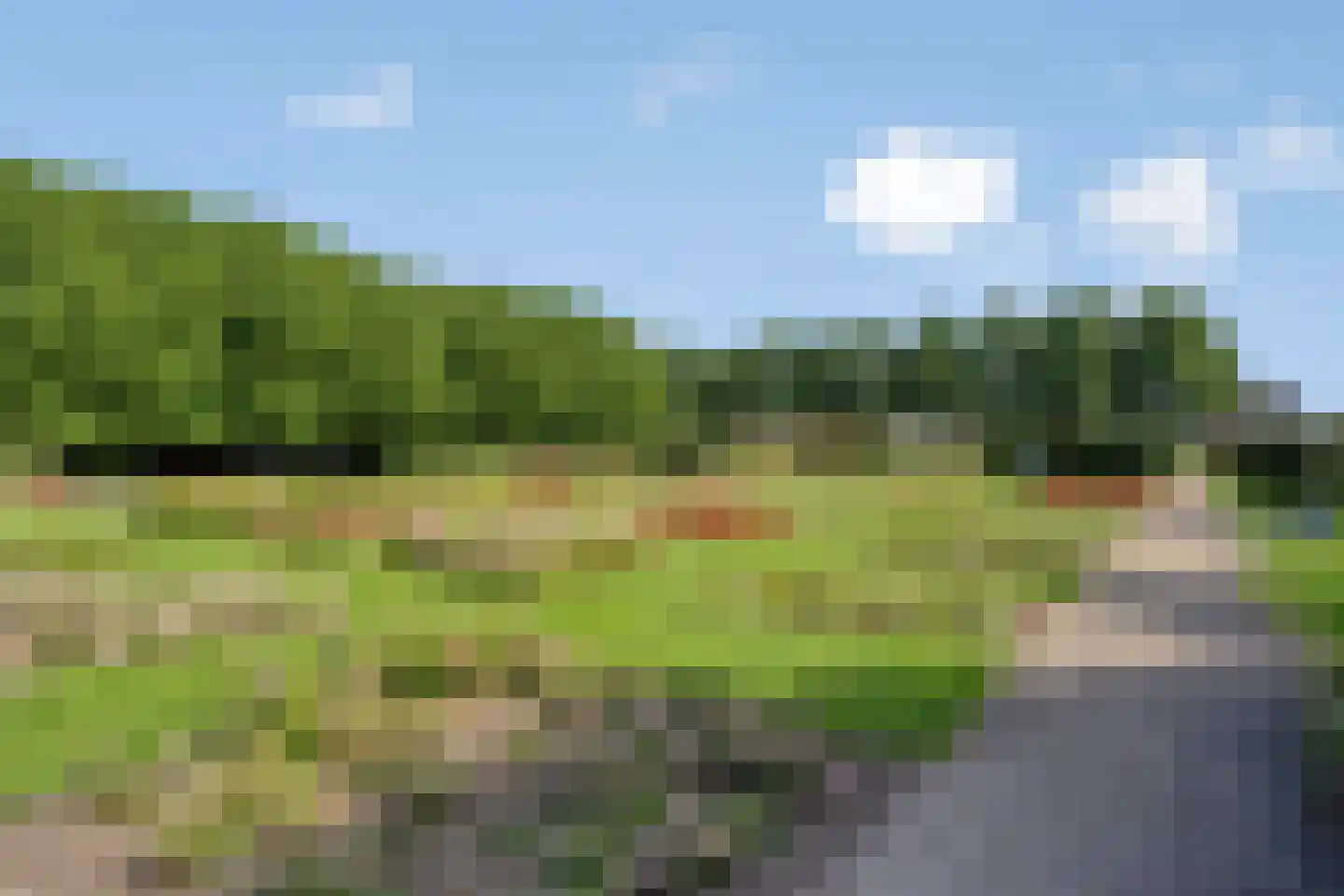 Perobahout 9 Zoetermeer thumbnail 40