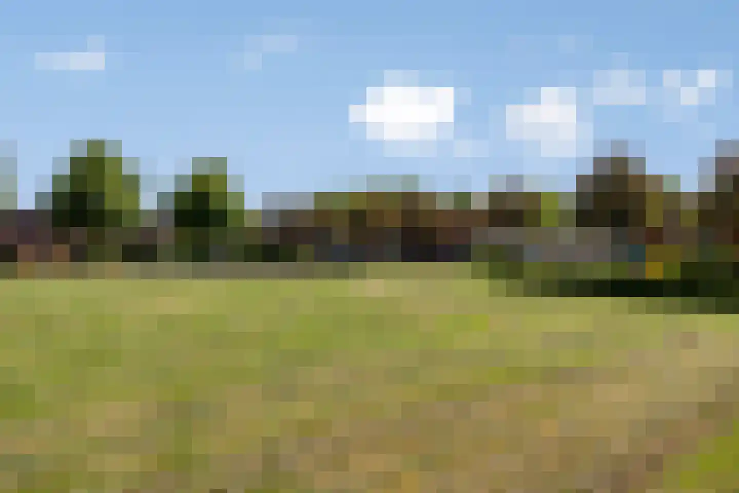 Perobahout 9 Zoetermeer thumbnail 41