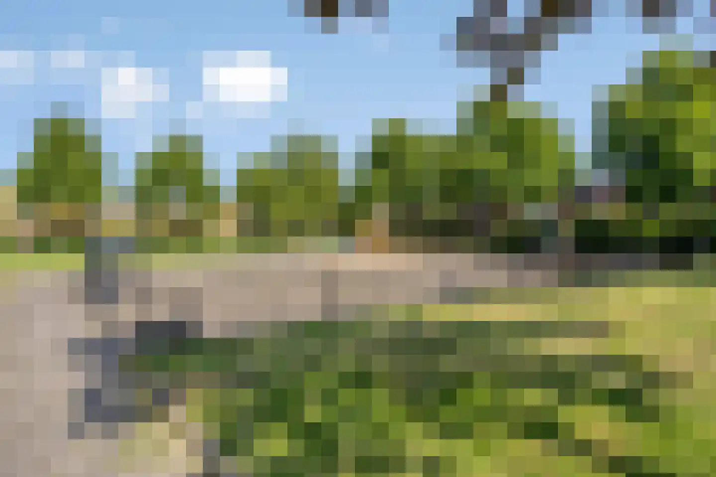 Perobahout 9 Zoetermeer thumbnail 42