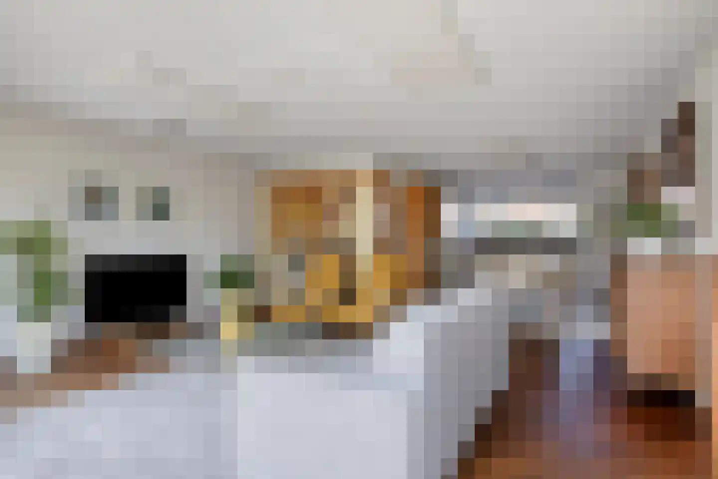 Perobahout 9 Zoetermeer thumbnail 6