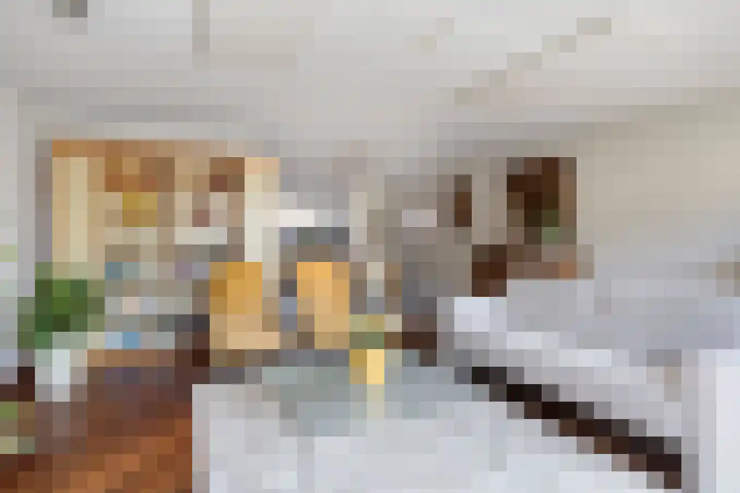 Perobahout 9 Zoetermeer thumbnail 7