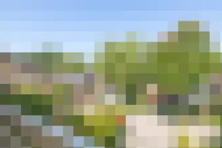 Perosihof 605 Tilburg thumbnail 25