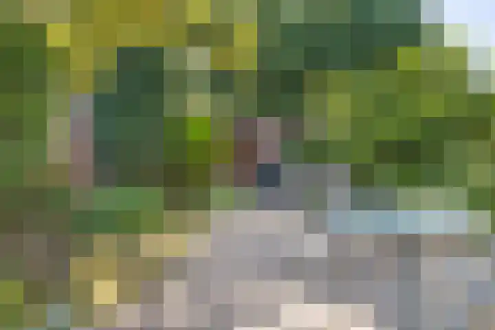 Perosihof 605 Tilburg thumbnail 32