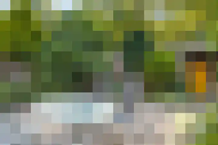 Perosihof 605 Tilburg thumbnail 33