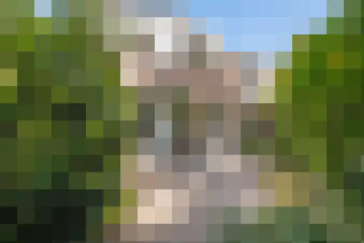 Perosihof 605 Tilburg thumbnail 34