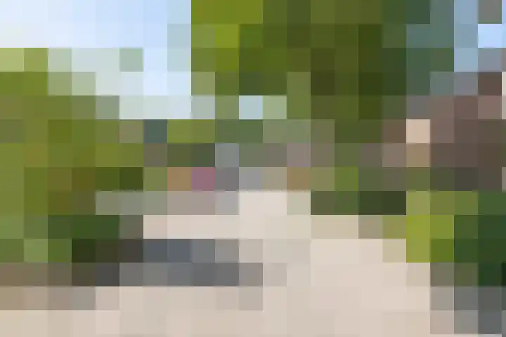 Perosihof 605 Tilburg thumbnail 36