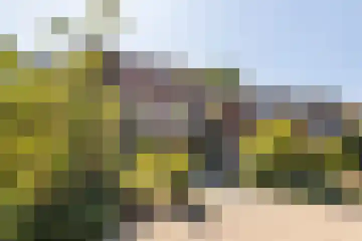 Perosihof 605 Tilburg thumbnail 37