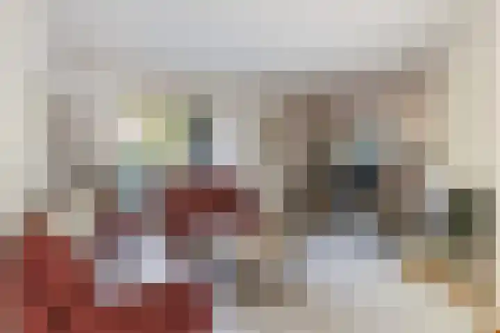 Perosihof 605 Tilburg thumbnail 4
