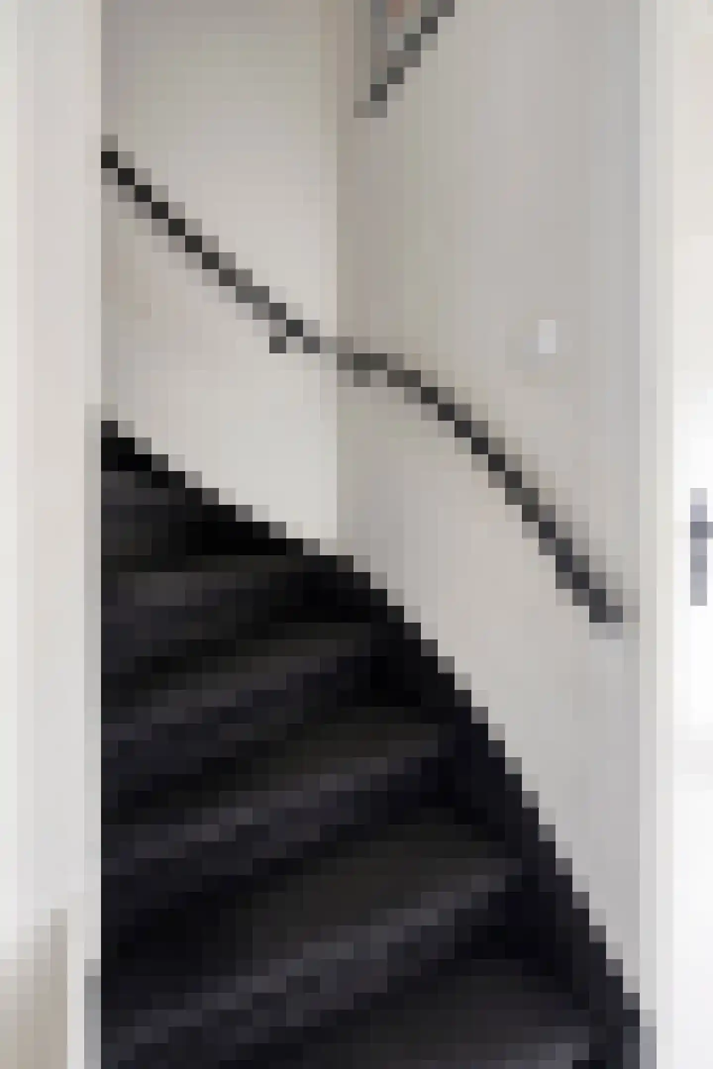 Perosistraat 110 Tilburg thumbnail 5