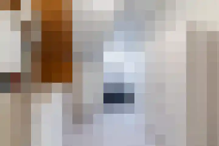 Perosistraat 34 Tilburg thumbnail 33