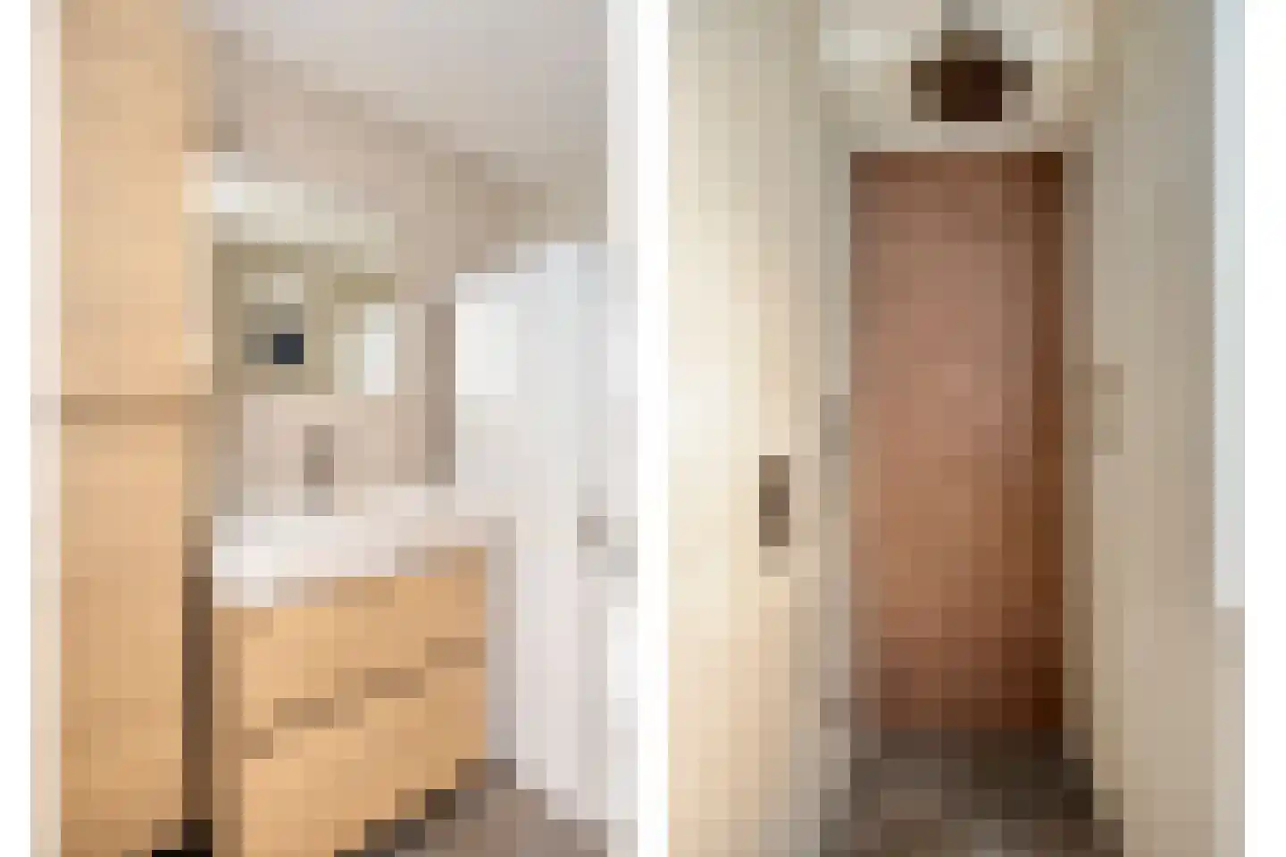 Perpignanlaan 21 Eindhoven thumbnail 13