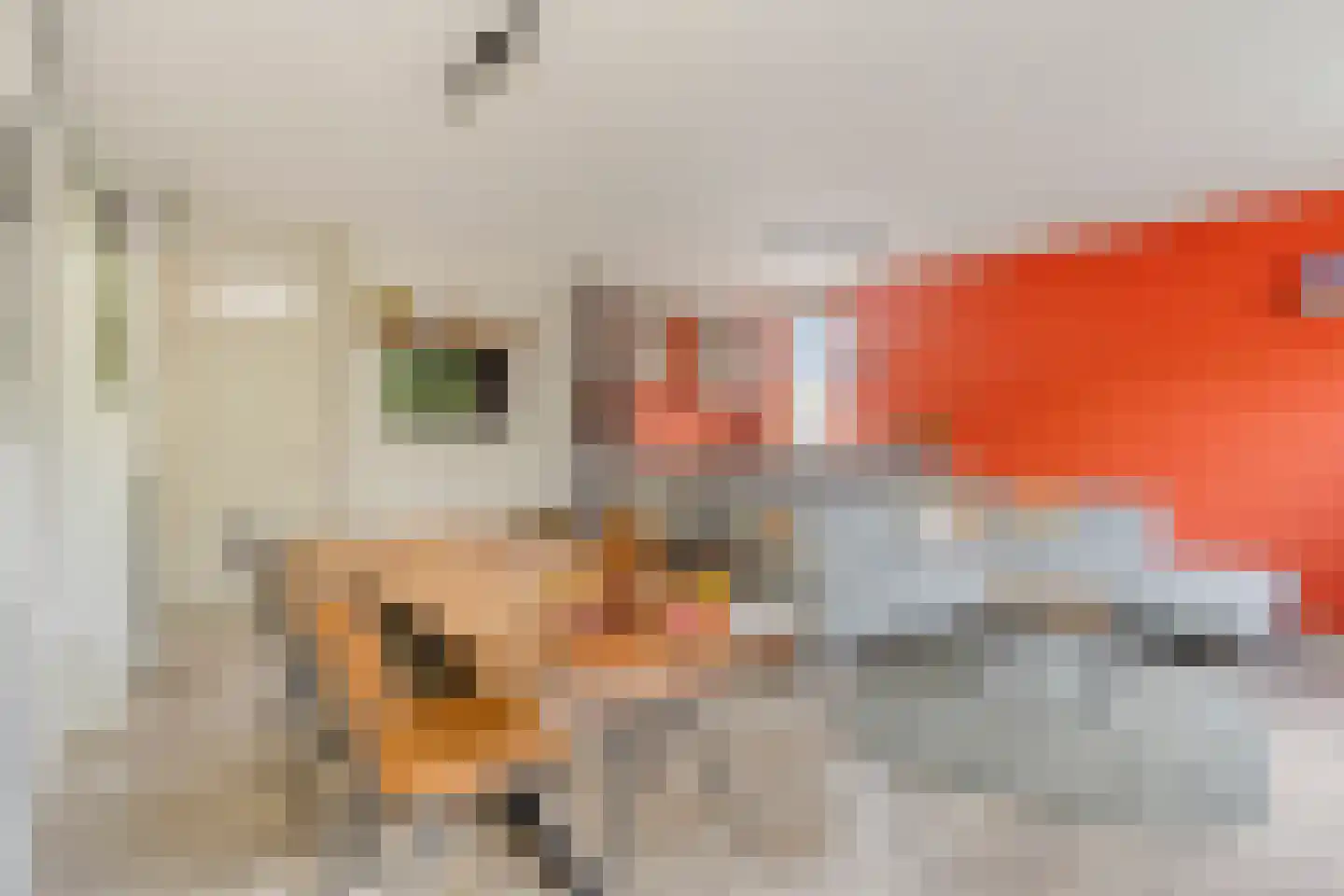Perpignanlaan 21 Eindhoven thumbnail 16