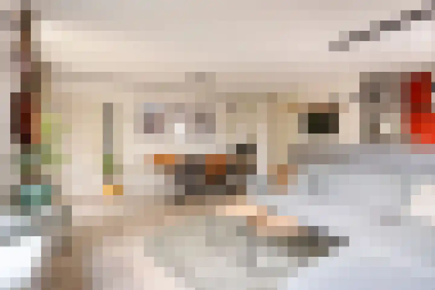 Perpignanlaan 21 Eindhoven thumbnail 19