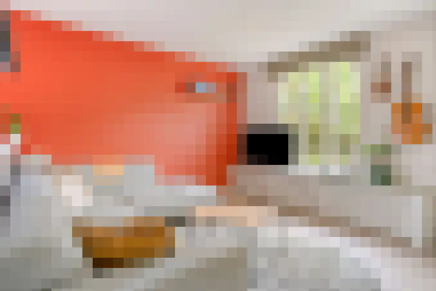 Perpignanlaan 21 Eindhoven thumbnail 20
