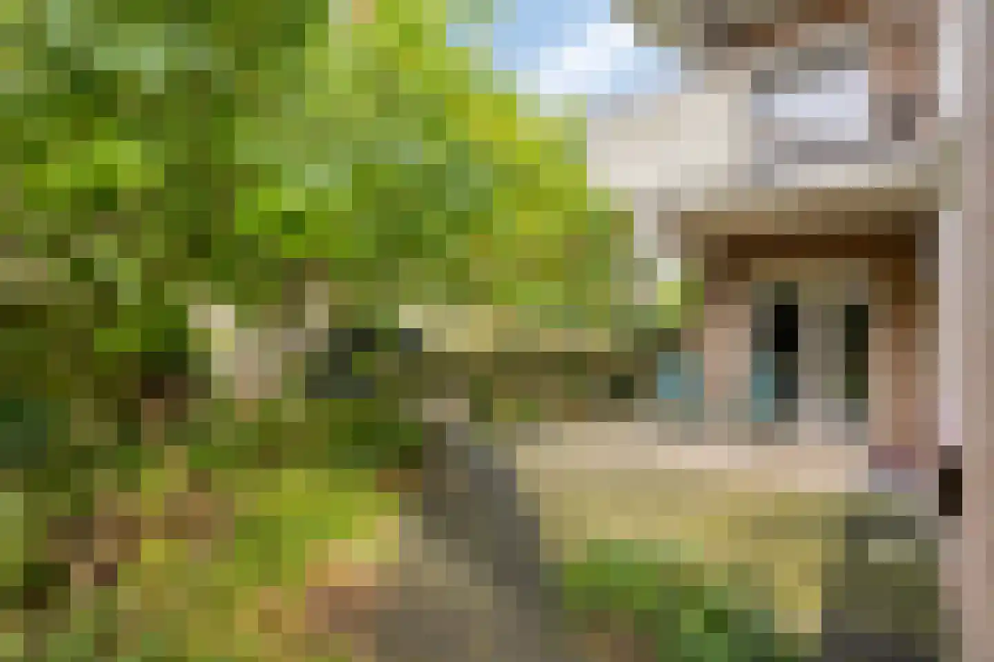 Perpignanlaan 21 Eindhoven thumbnail 29