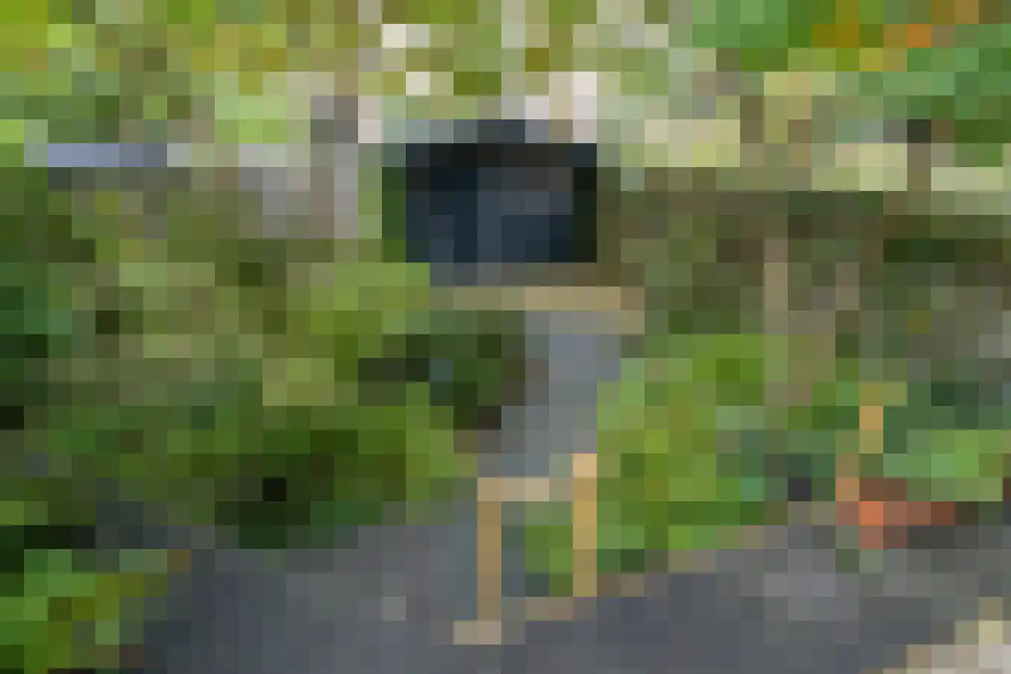 Perpignanlaan 21 Eindhoven thumbnail 31