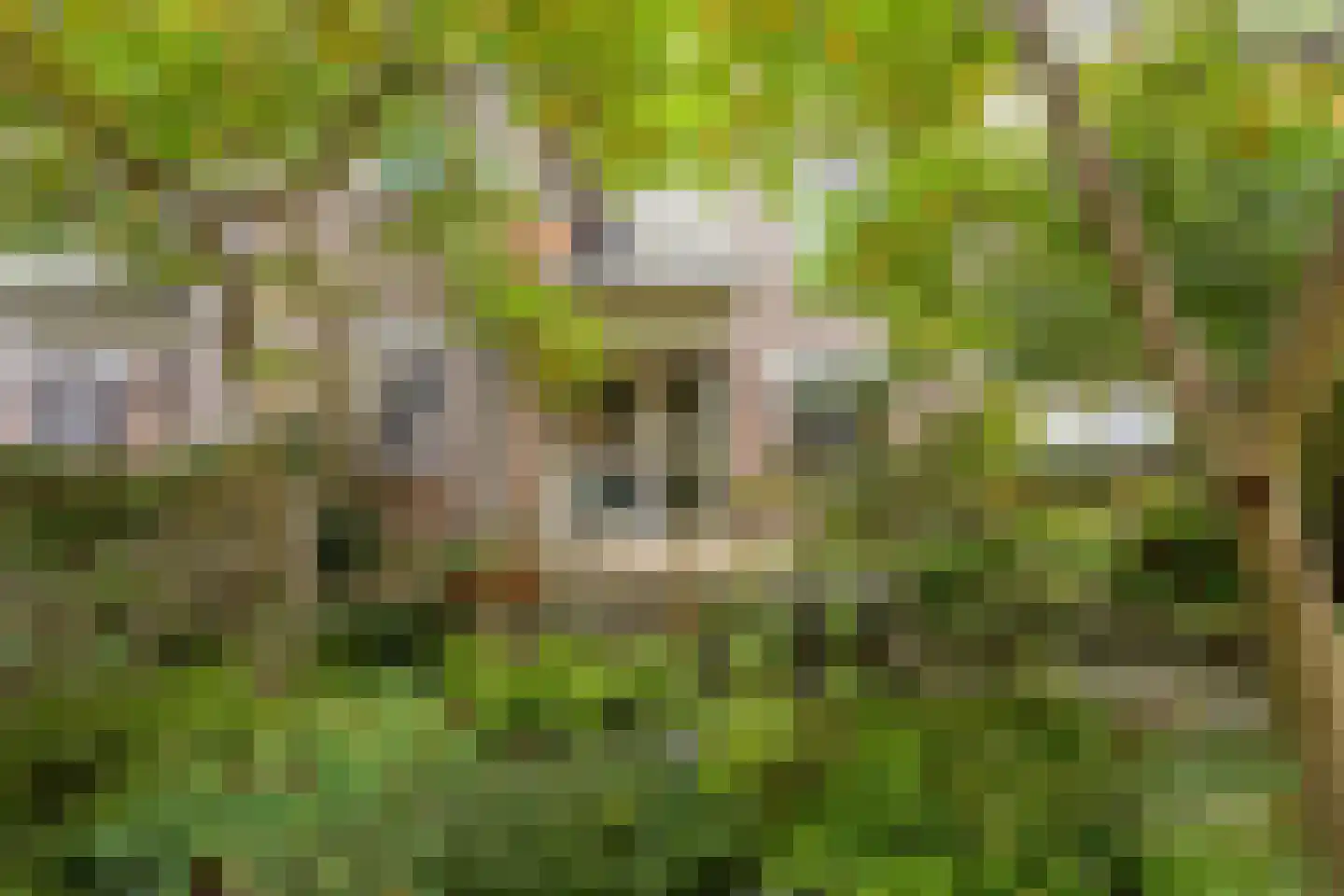 Perpignanlaan 21 Eindhoven thumbnail 32