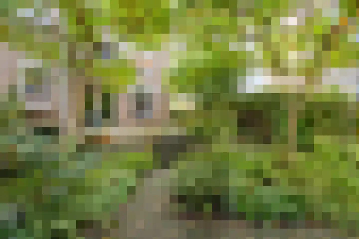 Perpignanlaan 21 Eindhoven thumbnail 33