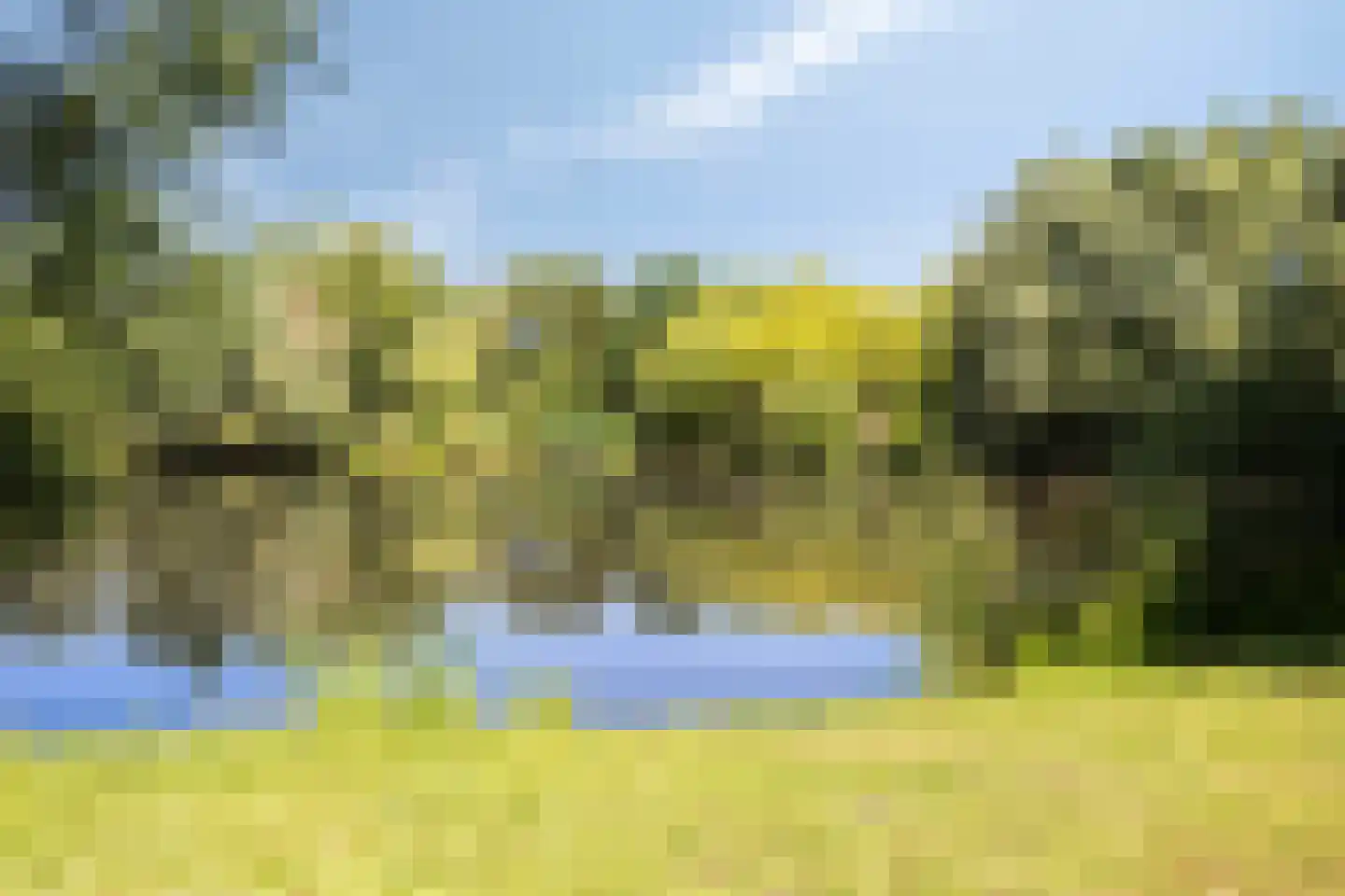 Perpignanlaan 21 Eindhoven thumbnail 38