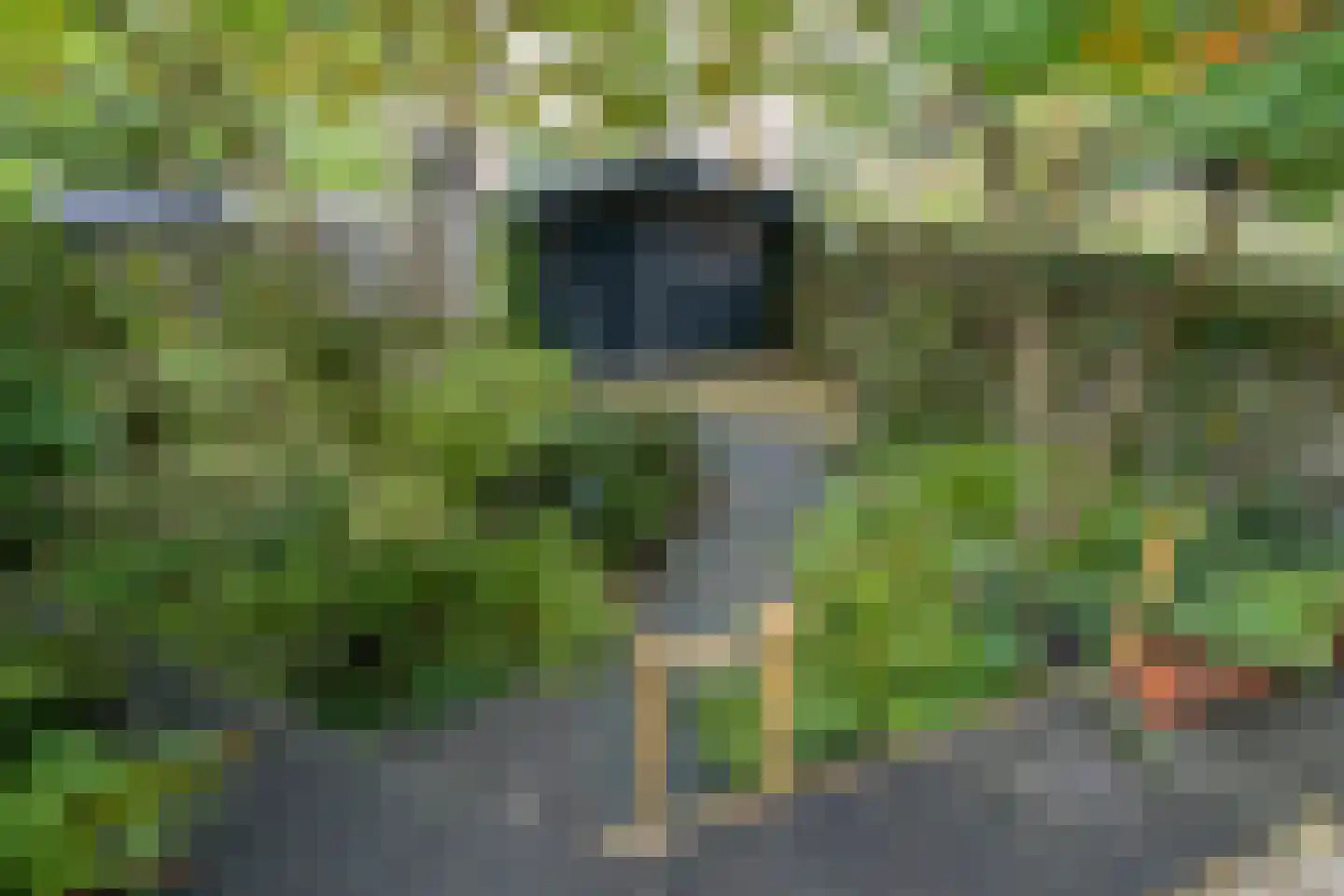 Perpignanlaan 21 Eindhoven thumbnail 6