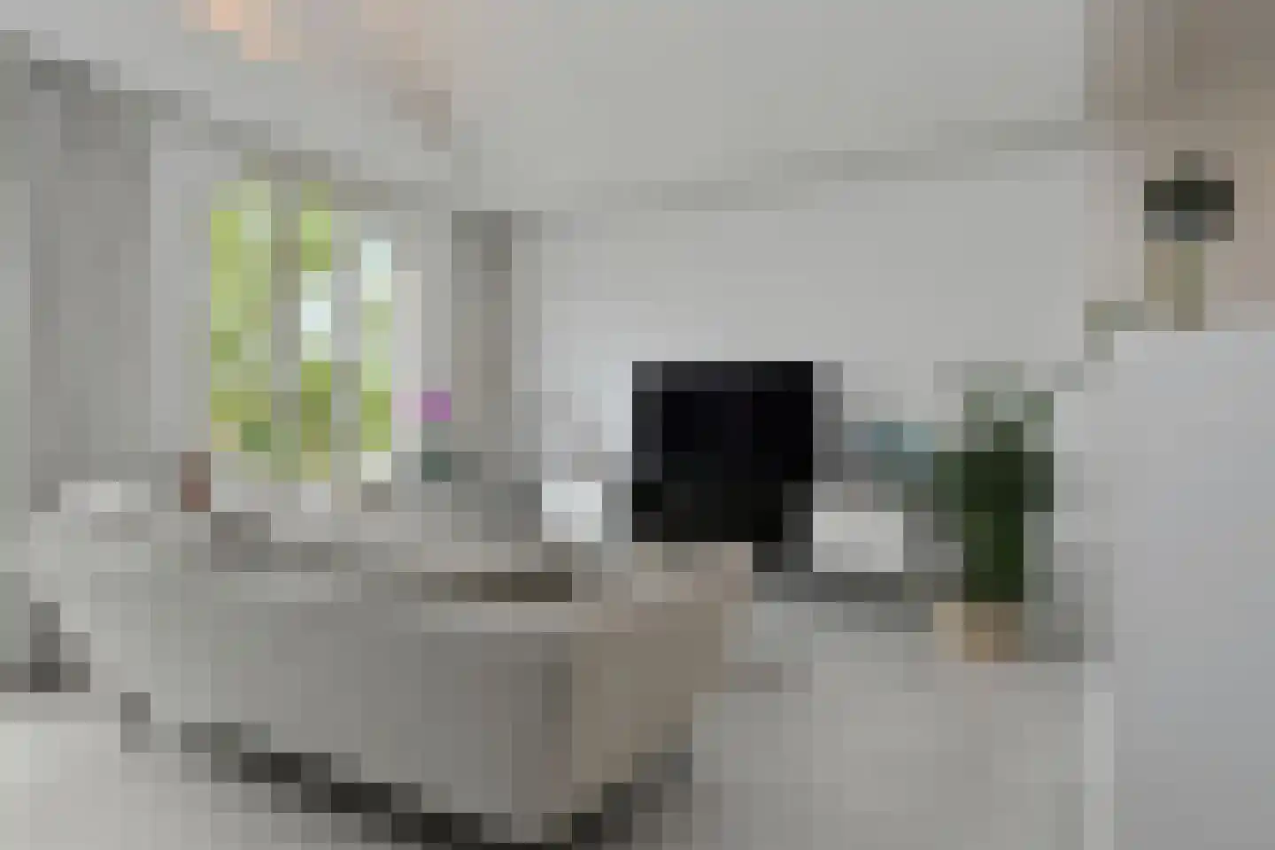 Perpignanlaan 43 Eindhoven thumbnail 8