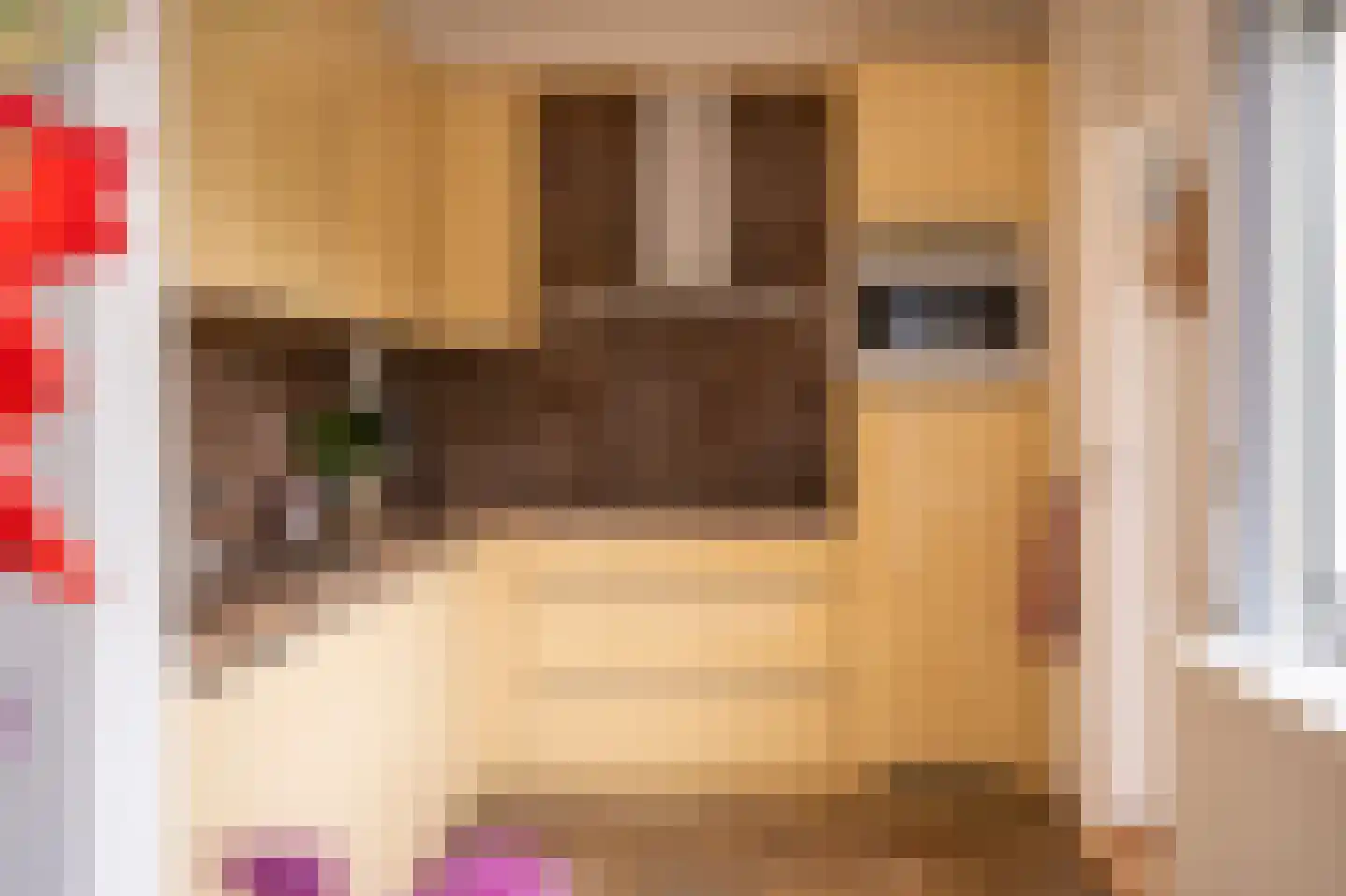 Perrenotlaan 16 Culemborg thumbnail 17