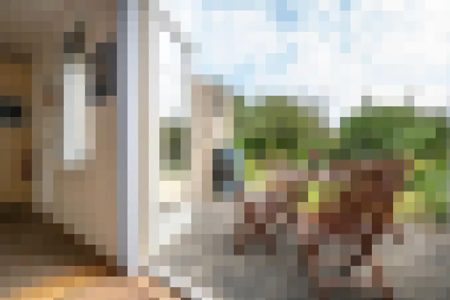 Perrenotlaan 16 Culemborg thumbnail 20