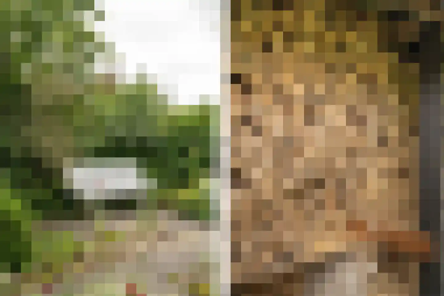 Perrenotlaan 16 Culemborg thumbnail 29