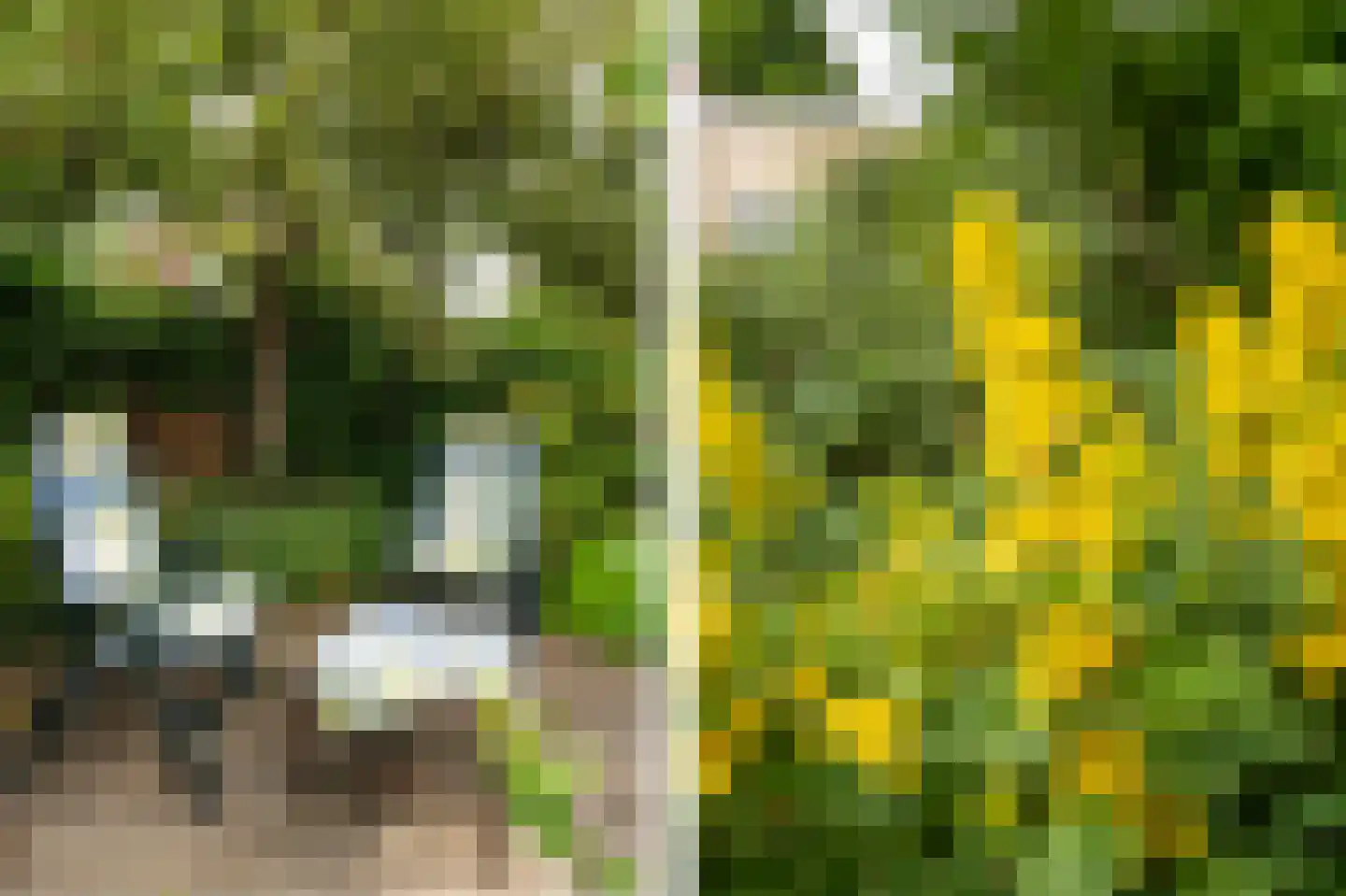 Perrenotlaan 16 Culemborg thumbnail 30