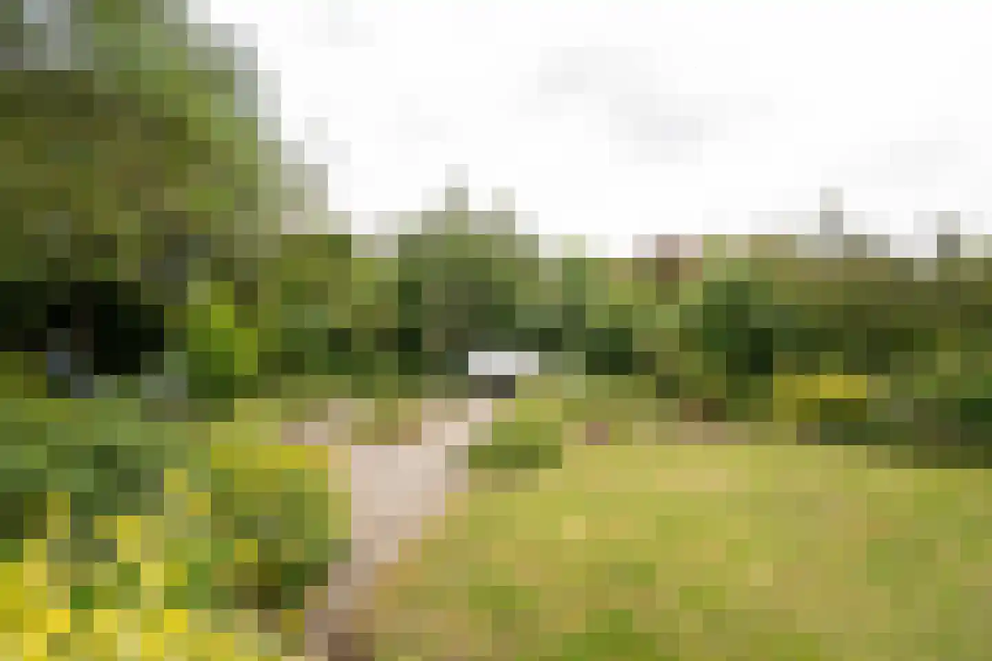 Perrenotlaan 16 Culemborg thumbnail 31