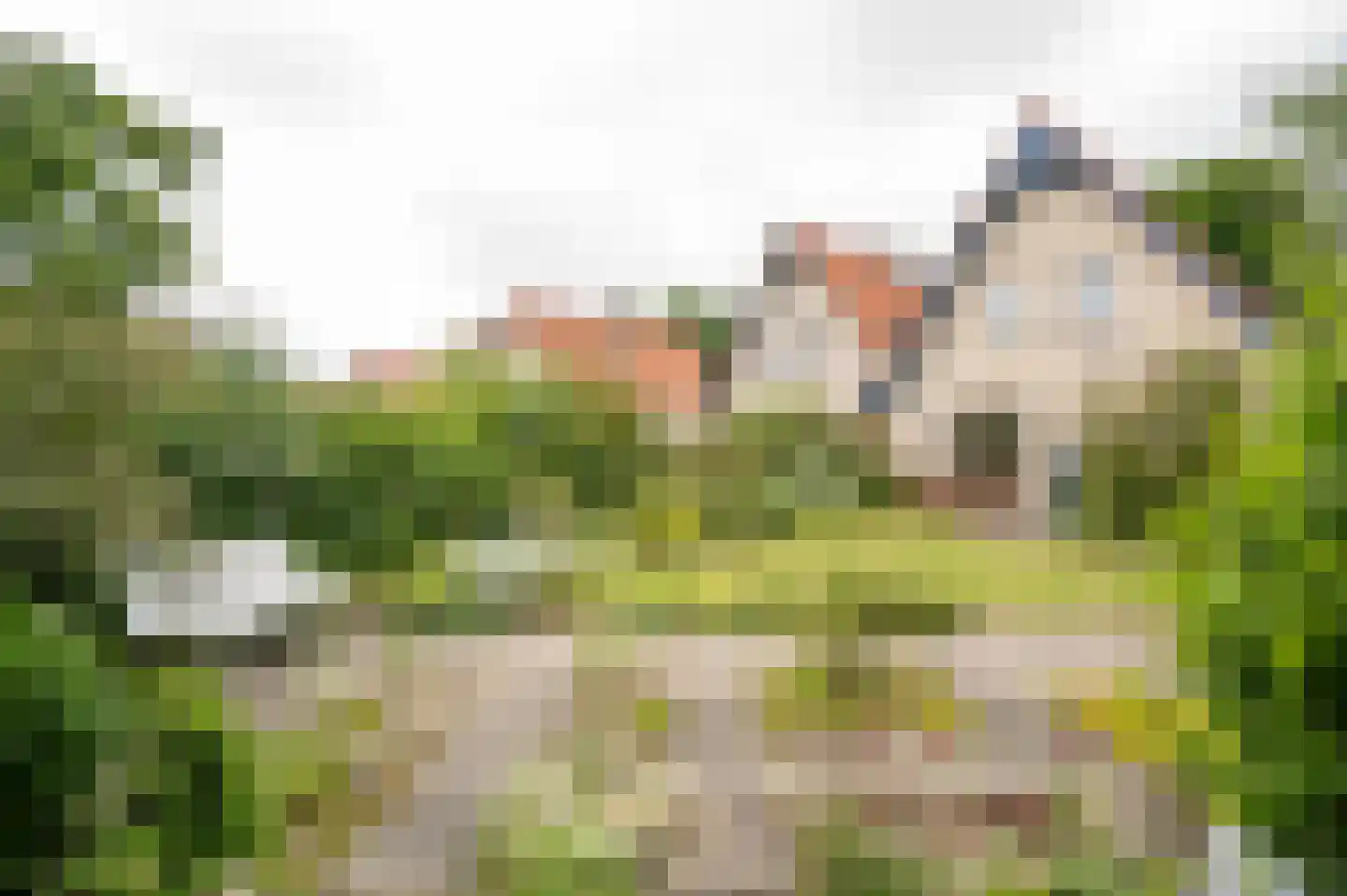 Perrenotlaan 16 Culemborg thumbnail 32