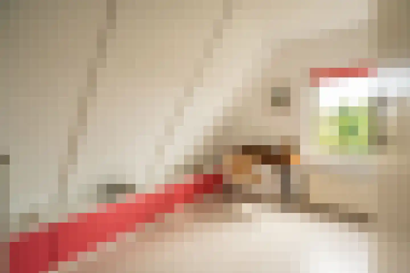 Perrenotlaan 16 Culemborg thumbnail 38
