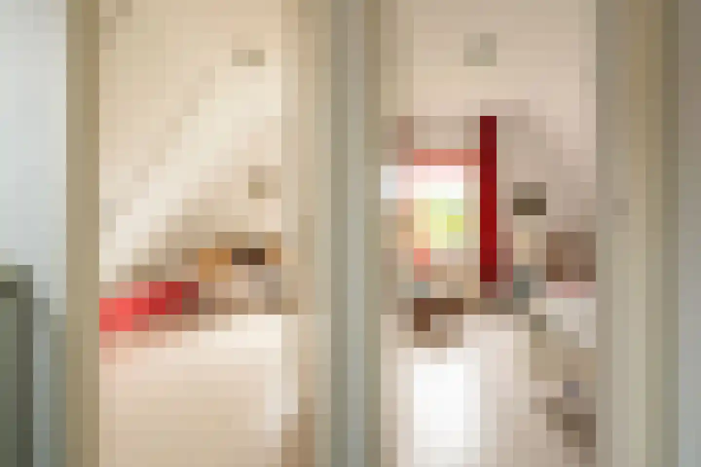 Perrenotlaan 16 Culemborg thumbnail 40
