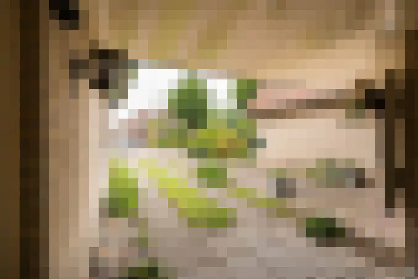 Perrenotlaan 16 Culemborg thumbnail 50