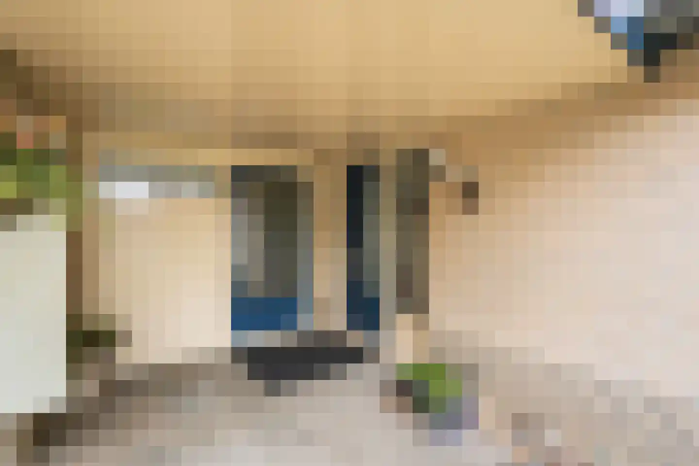 Perrenotlaan 16 Culemborg thumbnail 51