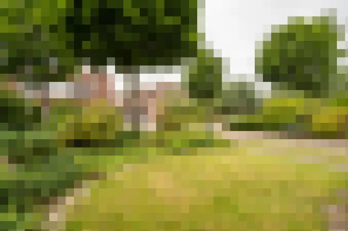 Perrenotlaan 16 Culemborg thumbnail 55