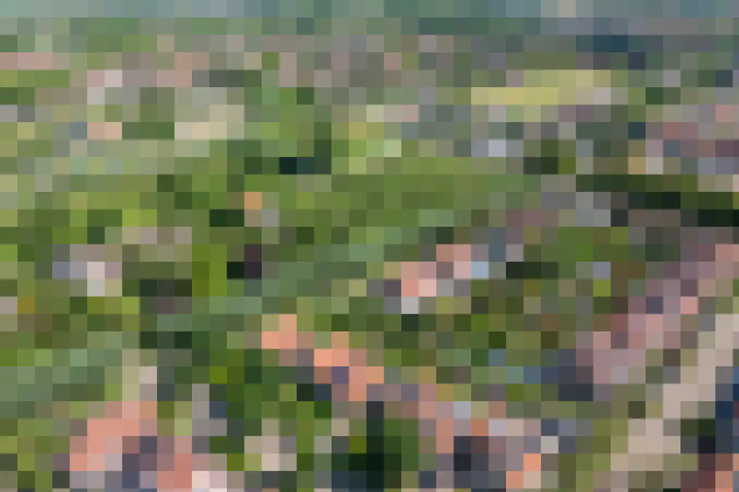 Perrenotlaan 16 Culemborg thumbnail 58