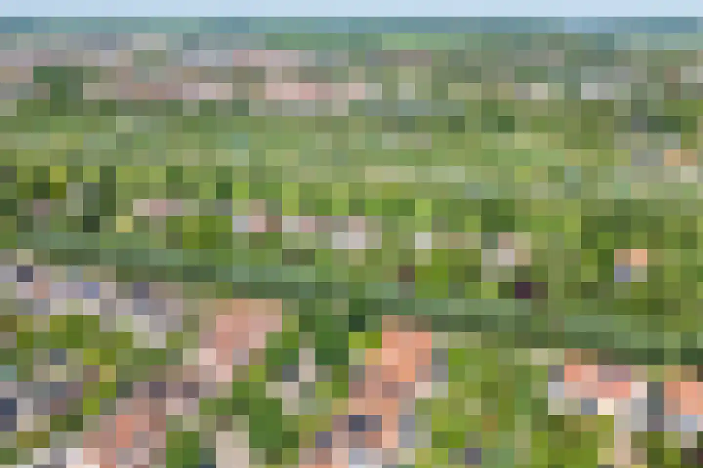 Perrenotlaan 16 Culemborg thumbnail 59