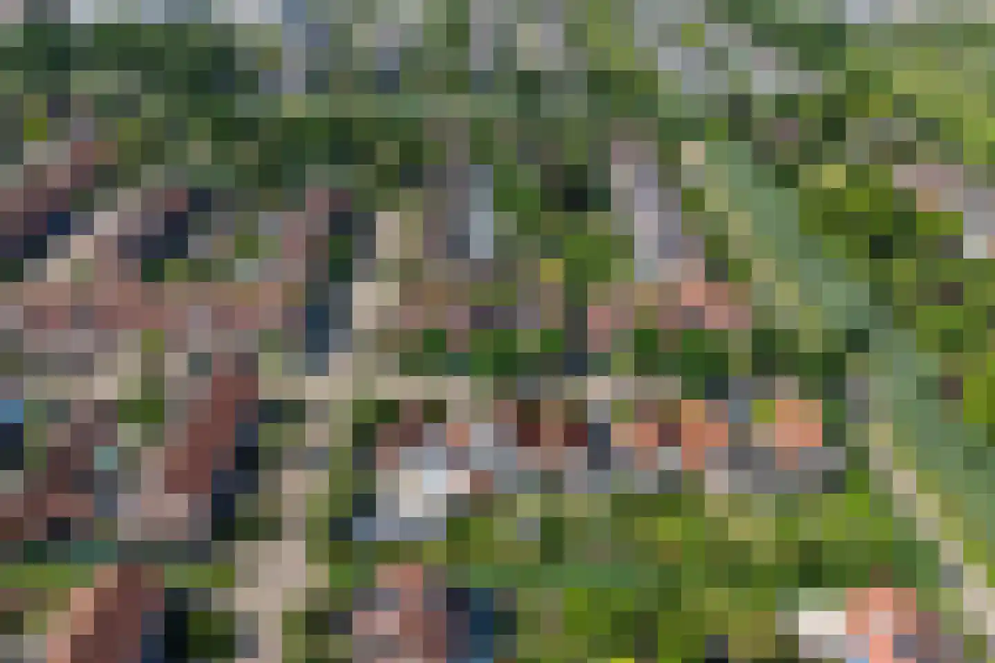 Perrenotlaan 16 Culemborg thumbnail 60