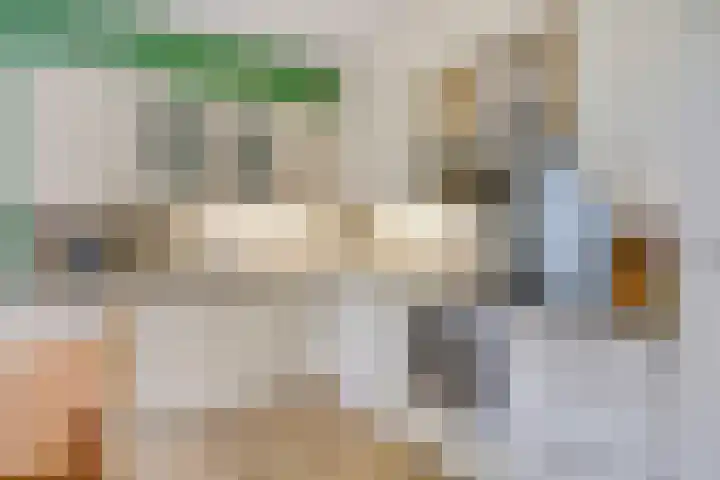 Perron 18 Gennep thumbnail 14