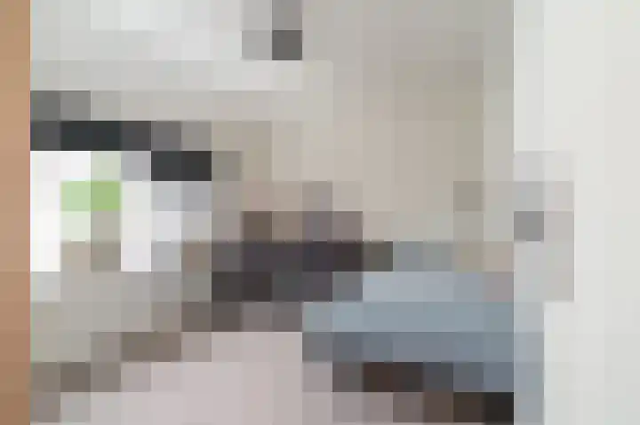 Perron 18 Gennep thumbnail 21