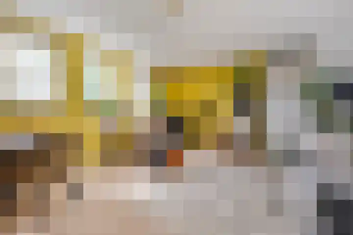 Perron 18 Gennep thumbnail 22