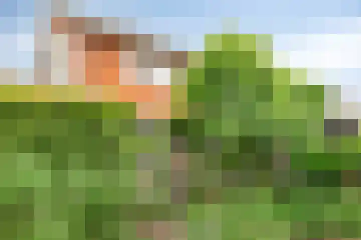 Perron 18 Gennep thumbnail 25