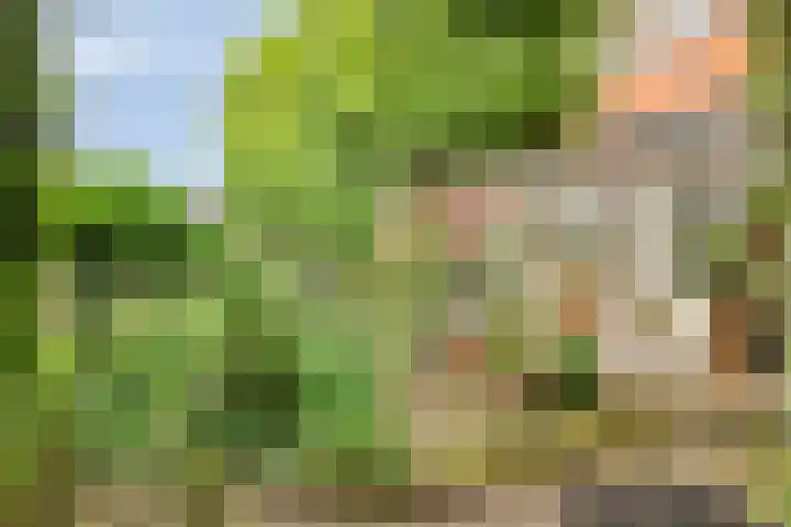 Perron 18 Gennep thumbnail 5