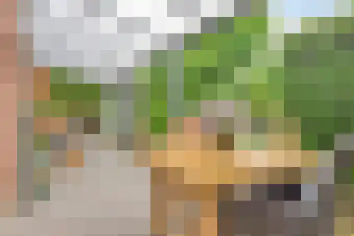 Perron 18 Gennep thumbnail 6