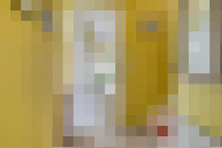 Perron 18 Gennep thumbnail 9