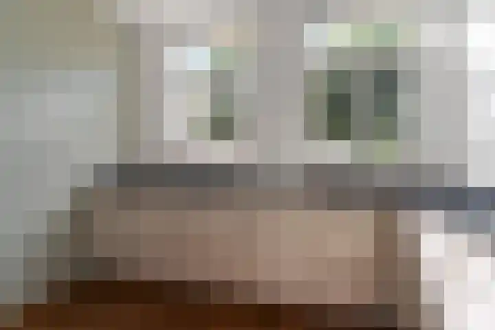Perron 5 Gennep thumbnail 10