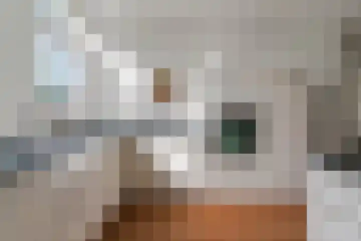 Perron 5 Gennep thumbnail 11