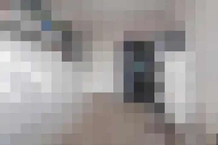 Perron 5 Gennep thumbnail 24
